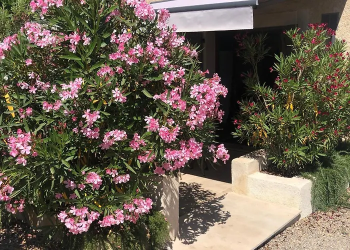 Le Cocon De Provence